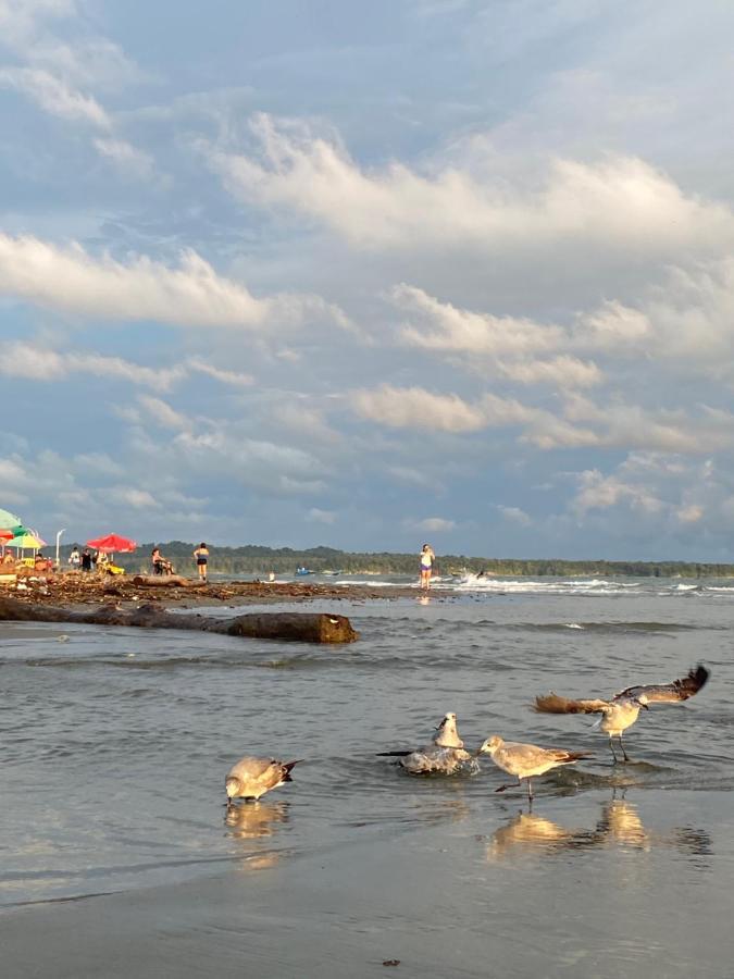 Acuarios Hostal Playa Ladrilleros Ngoại thất bức ảnh
